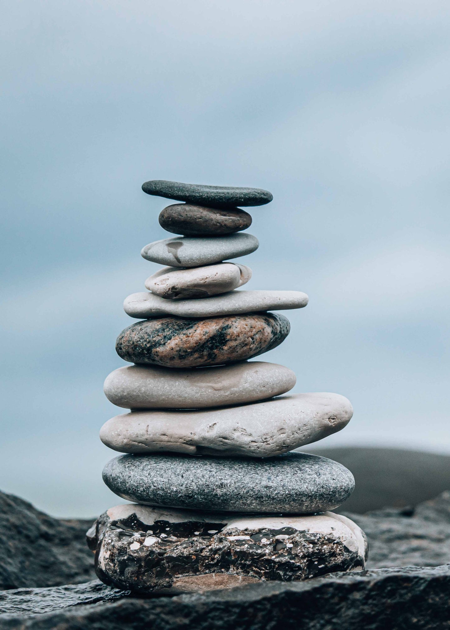 NATURE BALANCE #1