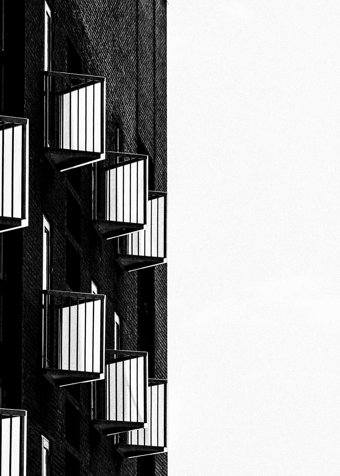 CITY ECHO