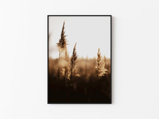 GOLDEN DAWN #2