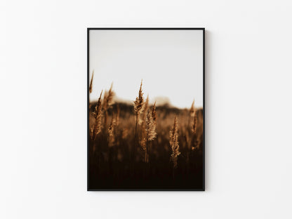 GOLDEN DAWN #3