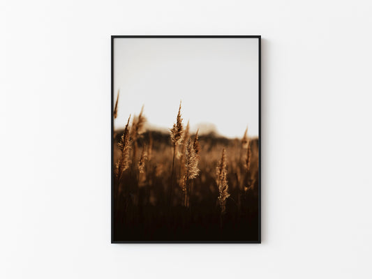 GOLDEN DAWN #3