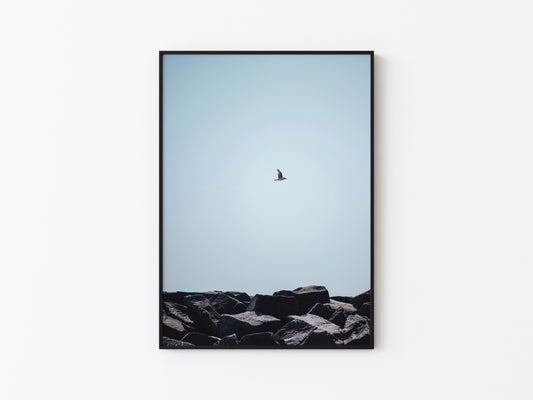 ROCKS AND WINGS
