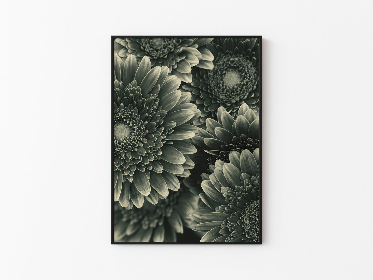 TIMELESS BLOOM #1