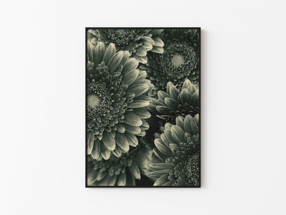 TIMELESS BLOOM #1