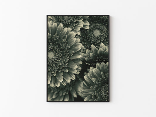 TIMELESS BLOOM #1
