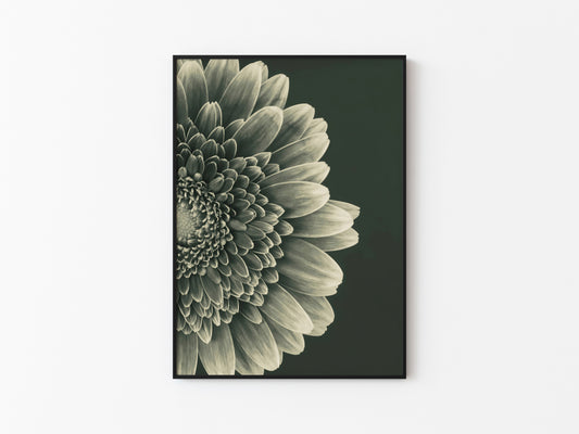 TIMELESS BLOOM #2