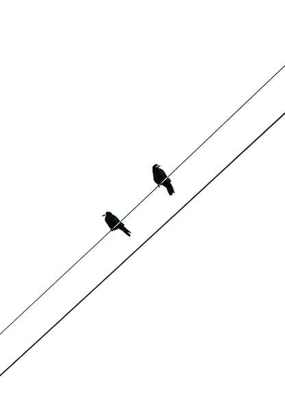 TWO BIRDS