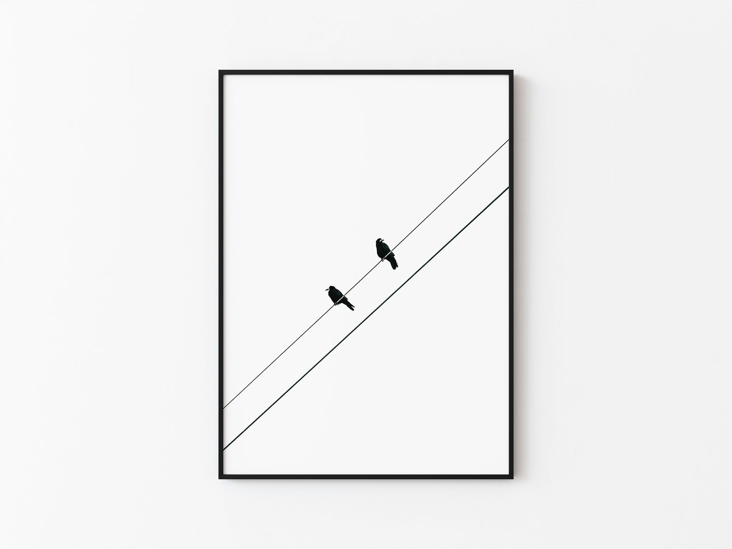 TWO BIRDS