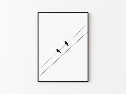 TWO BIRDS
