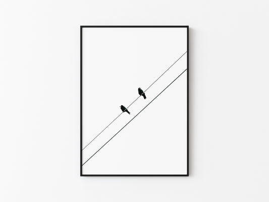 TWO BIRDS